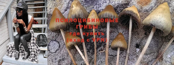 прущие крисы Абинск