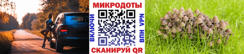 hydra маркетплейс  Шарья  Галлюциногенные грибы мухоморы  купить  